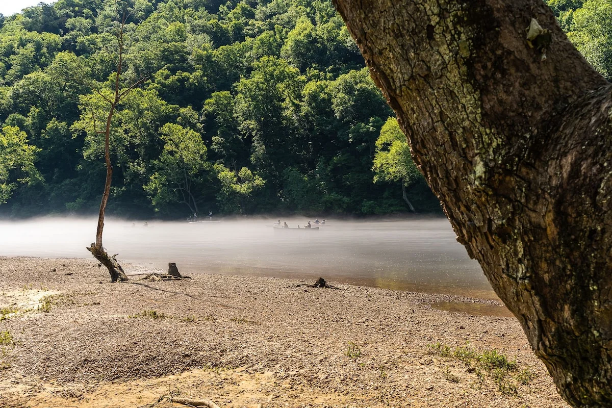 Lake Taneycomo is commonly known as the White River—three-quarters of a mile of accessible shoreline in Pointe Royale Resort.