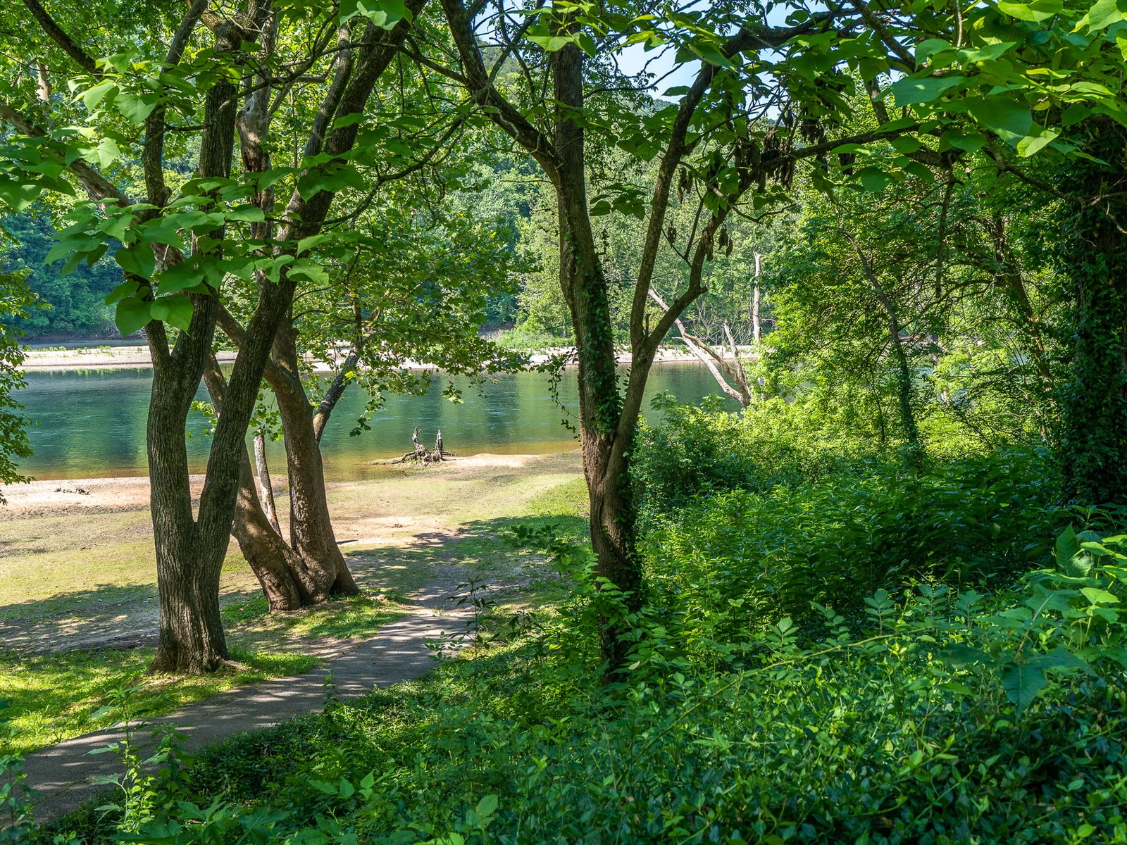 View of Lake Taneycomo