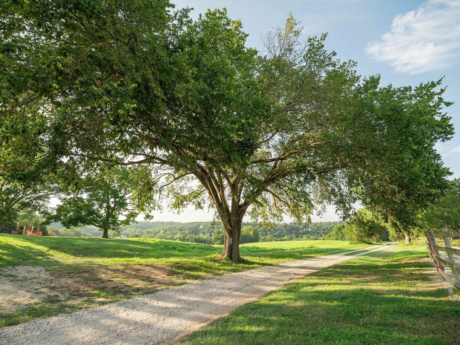 Sycamore Creek Ranch
