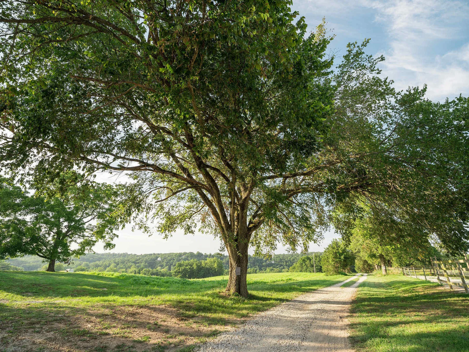 Sycamore Creek Ranch