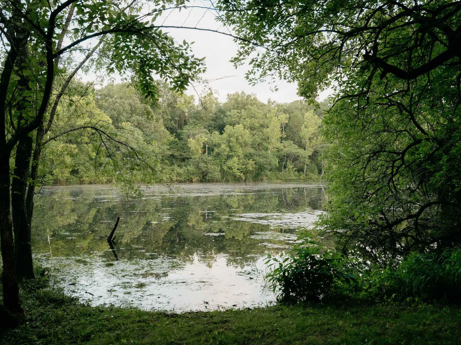 Access to Lake Taneycomo