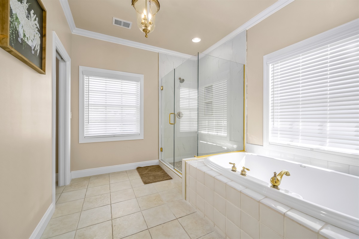 Chateau Mountain Manor