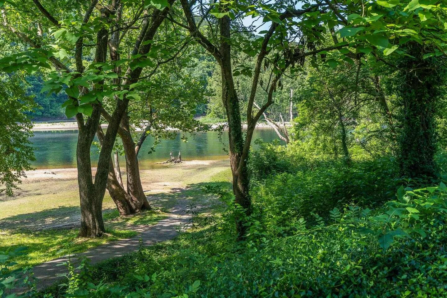 Take a scenic stroll by the White River.