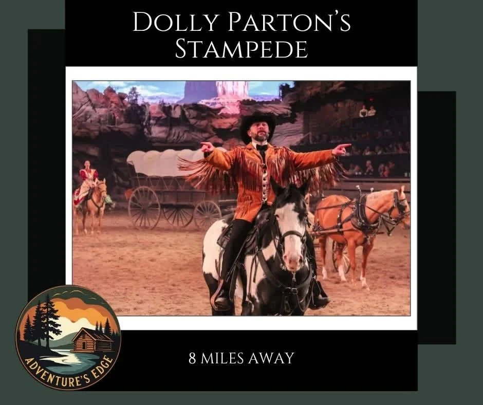 Enjoy a dazzling dinner show with horses and stunts at Dolly Parton's Stampede.