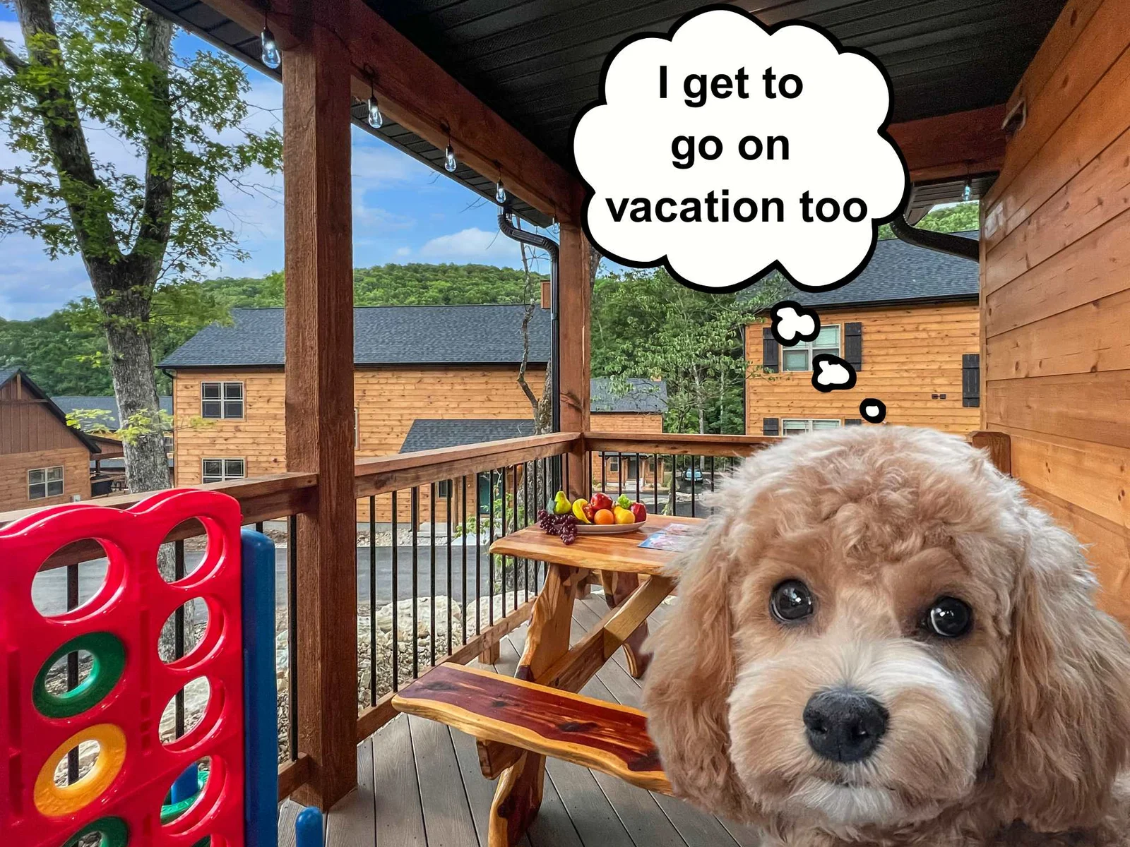 We love hosting furry friends! 🐾 Please help us keep Wooded Wonder pet-friendly by cleaning up after your pet, keeping them off furniture unless covered, and not leaving them alone in the cabin (unless in a crate). Thanks for being a pawesome guest!