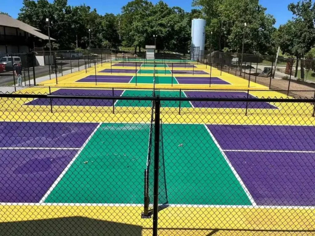 Lake View Condo, Pickleball Perks