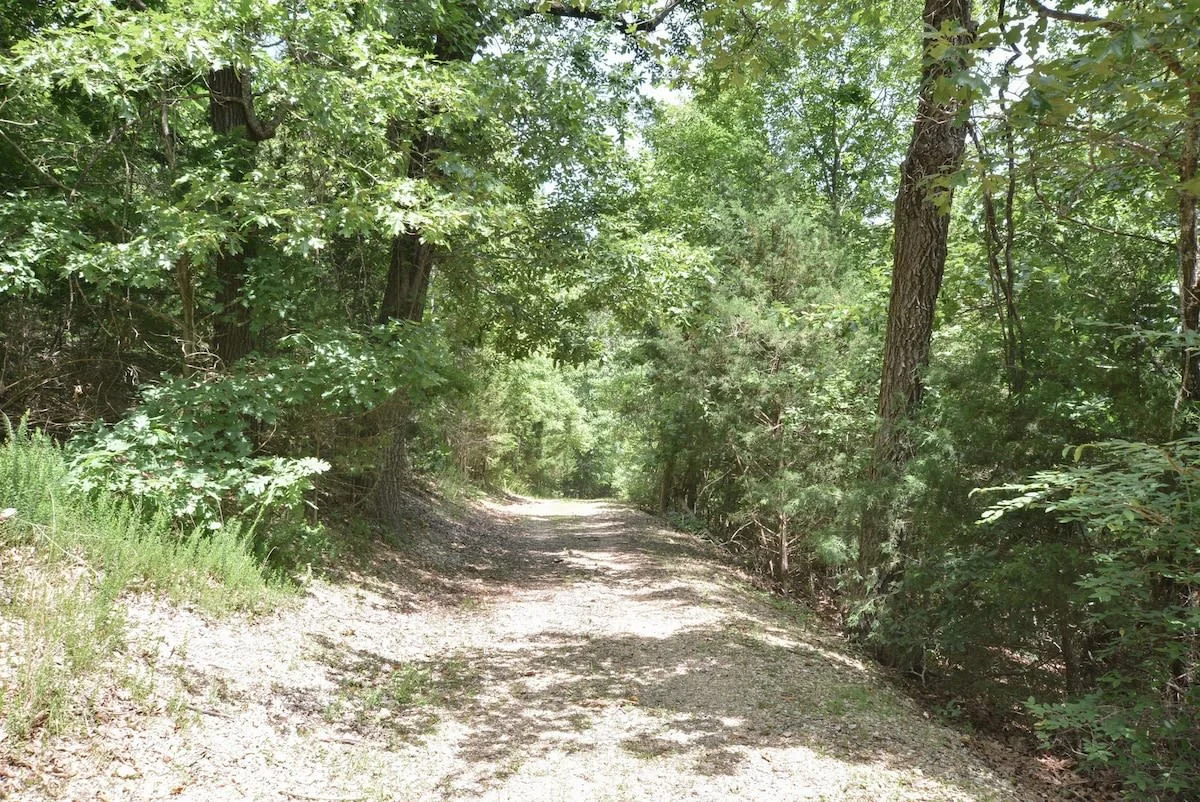 Start Of Walking Trail To Lake