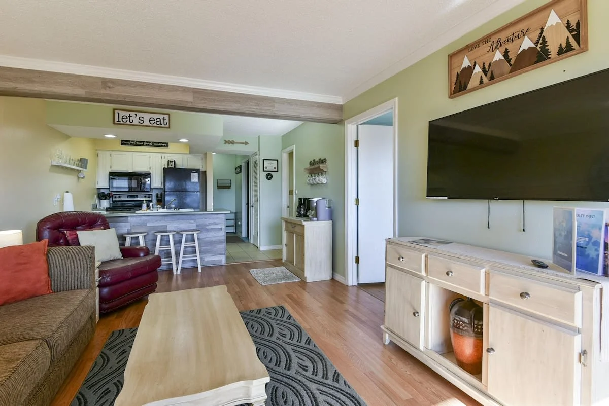 Living area with pull out sofa.