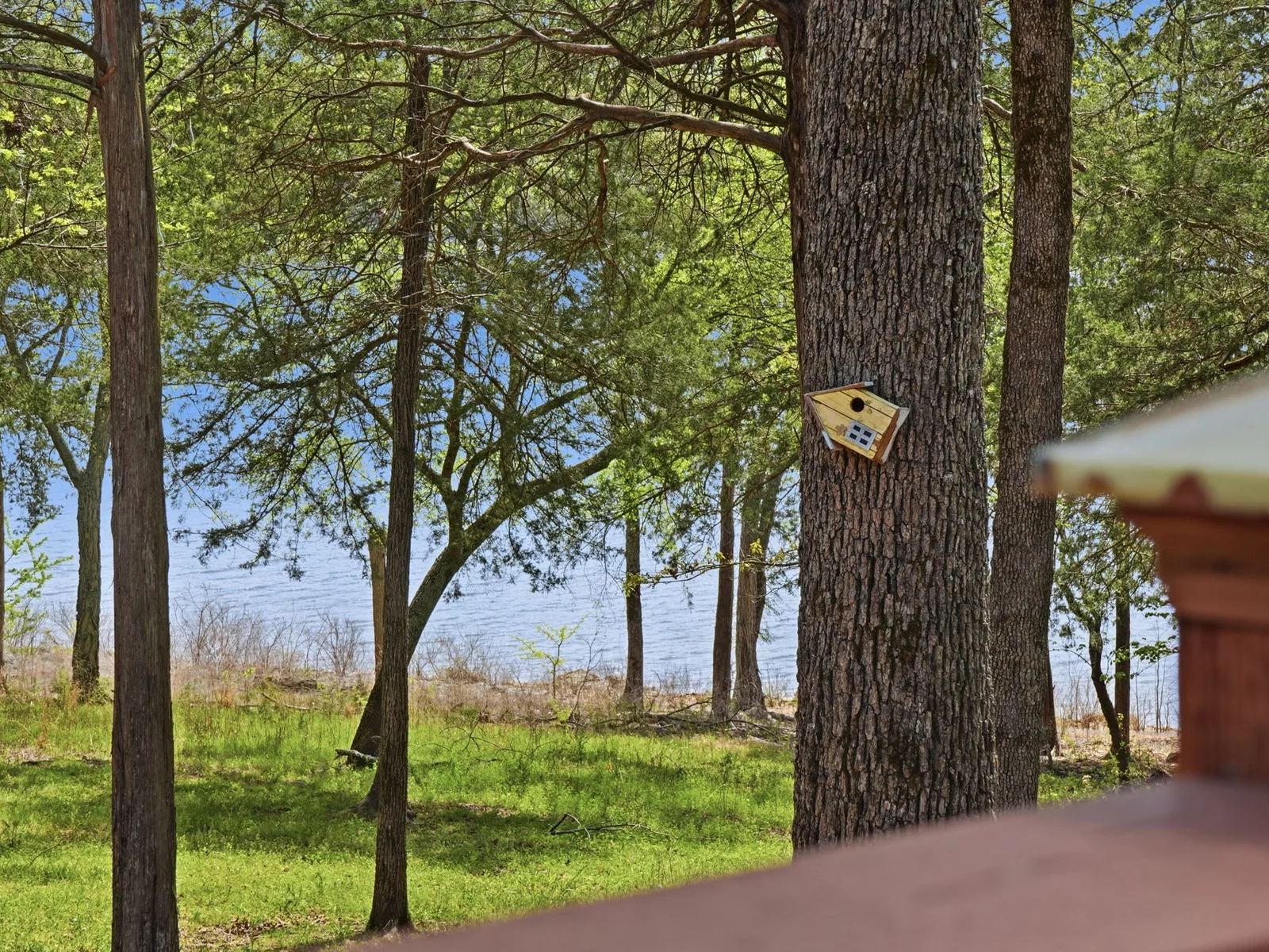 Scenic views at Quail Cove Resort