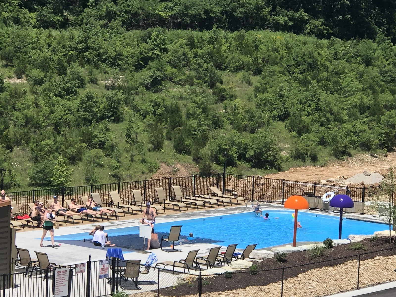 Fun in the sun