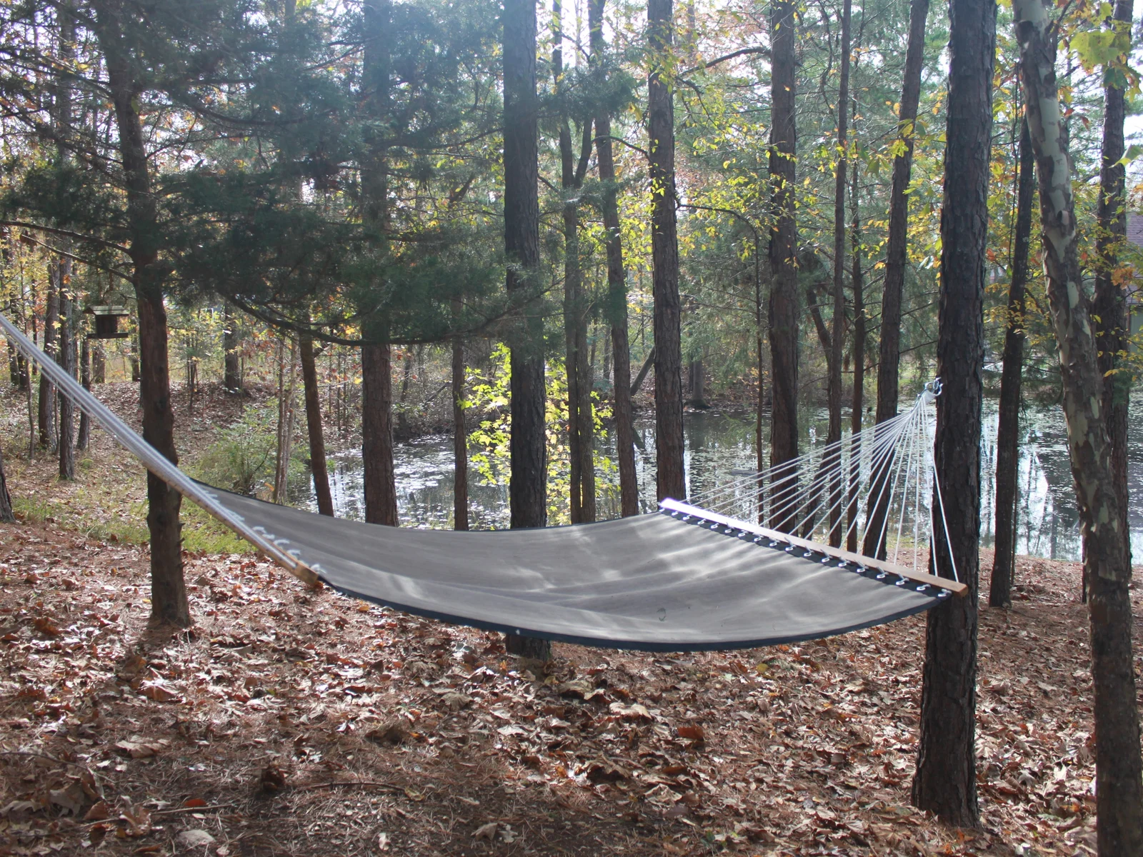 Time to unplug and enjoy nature relaxing on the hammock
