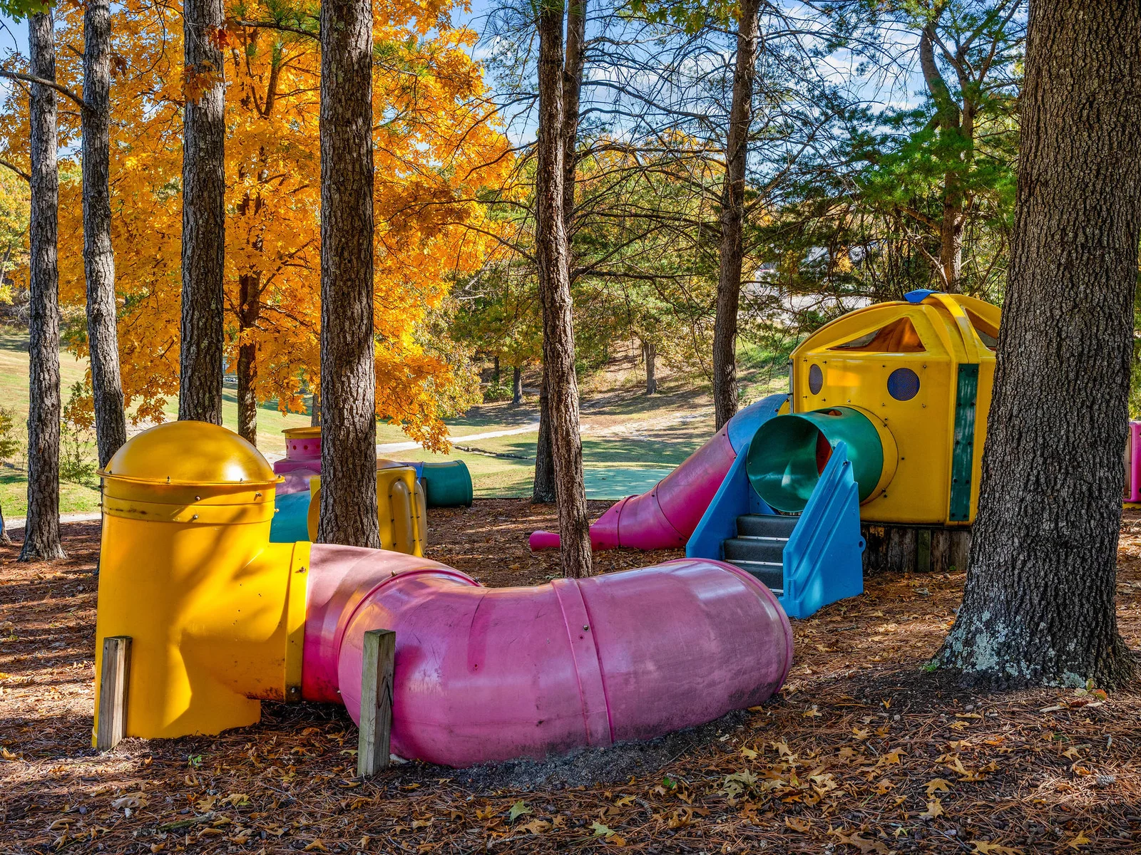 A fun spot for kids to explore and play among the trees. Just steps from the cabin.