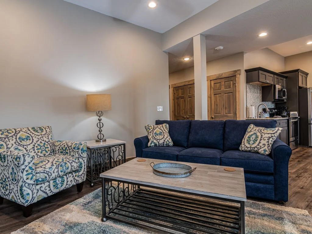 Lower level living area