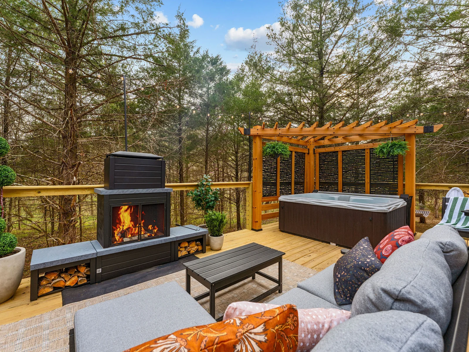 Gorgeous pine views