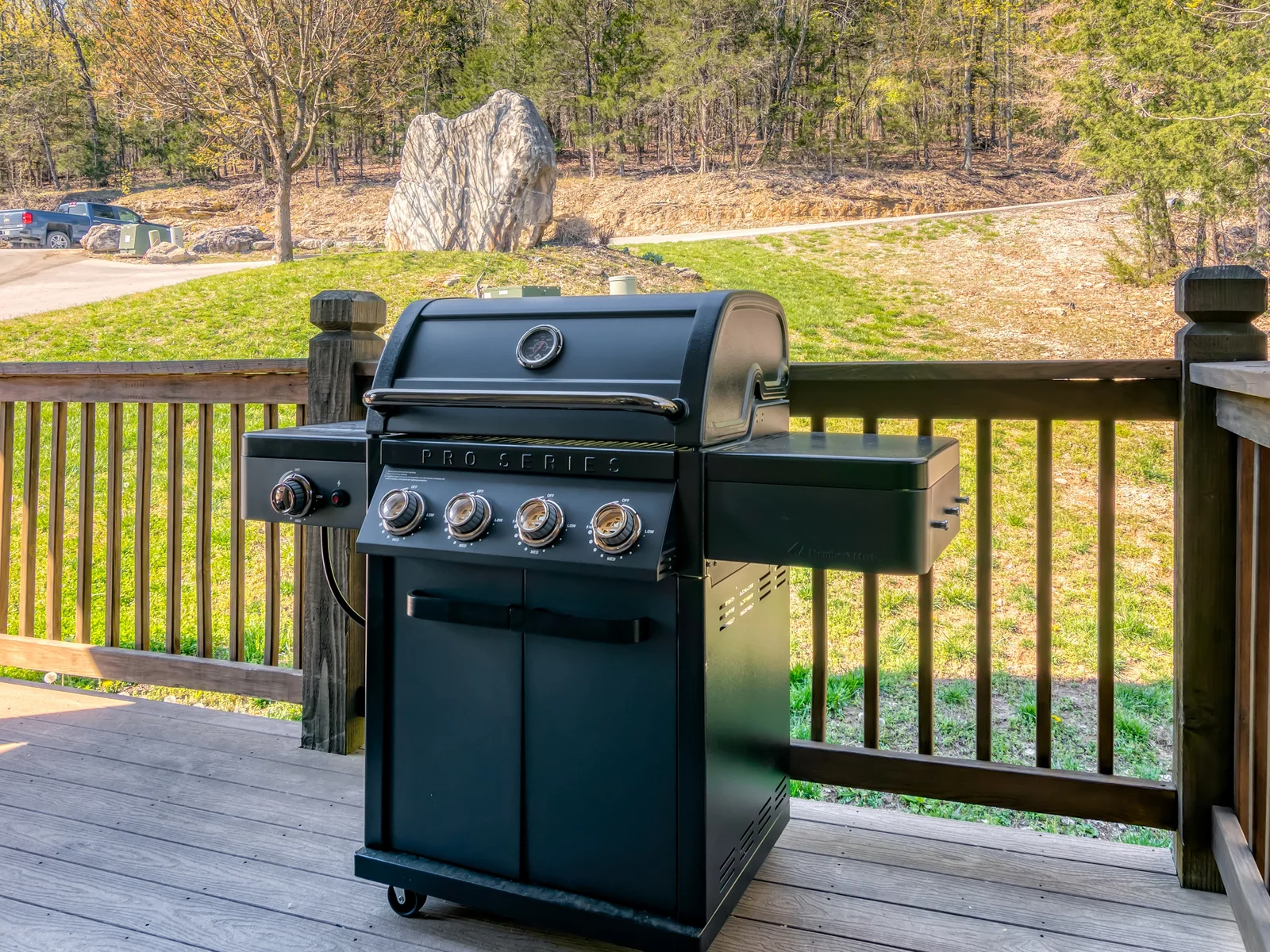 Propane grill