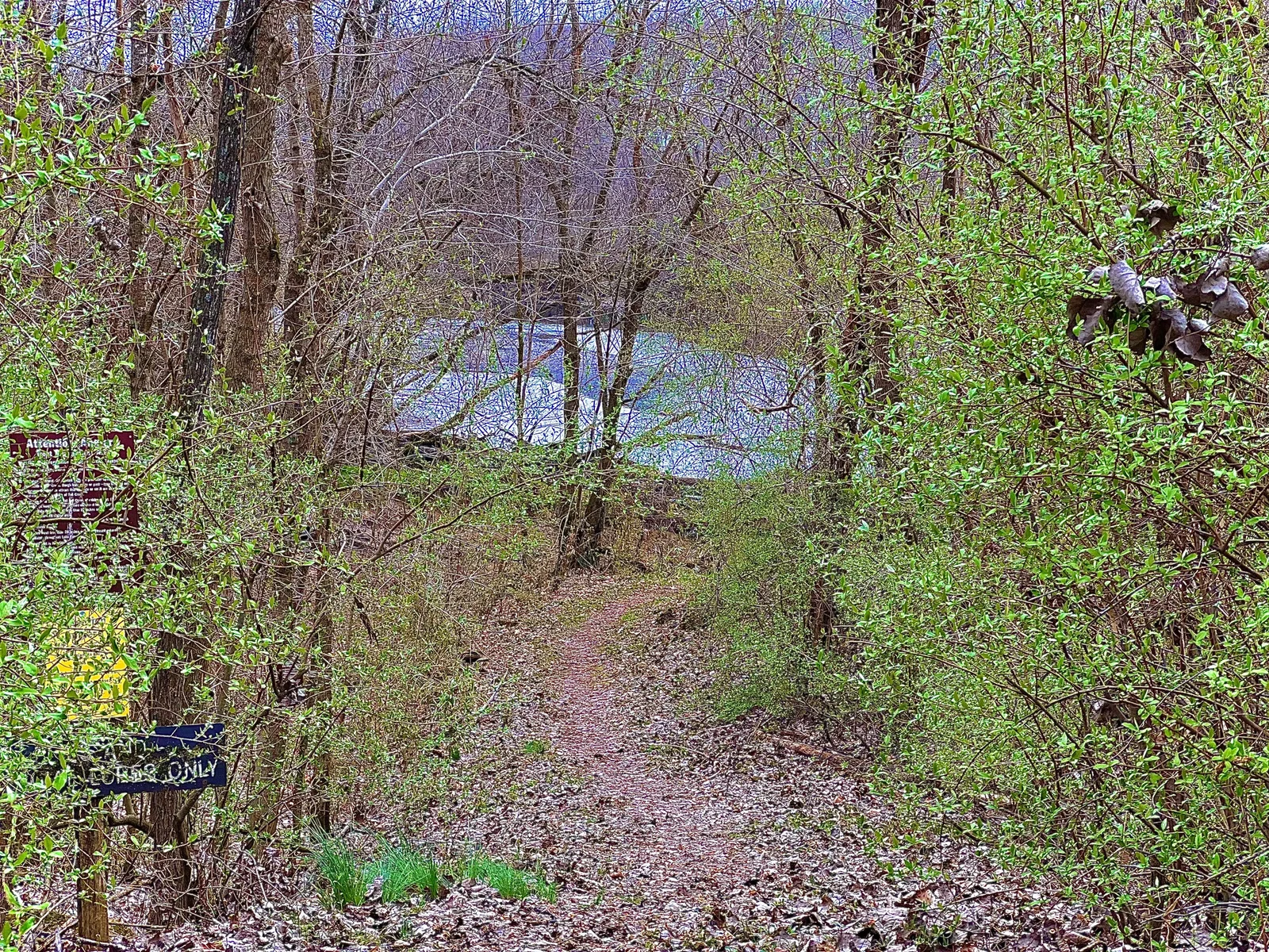 Small trail down to Lake Taneycomo.