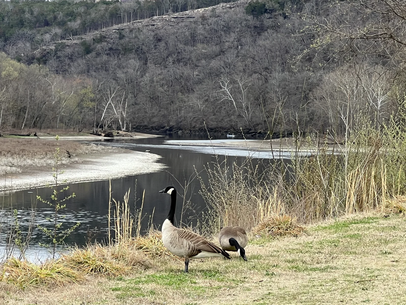 Beautiful nature along Taneycomo!