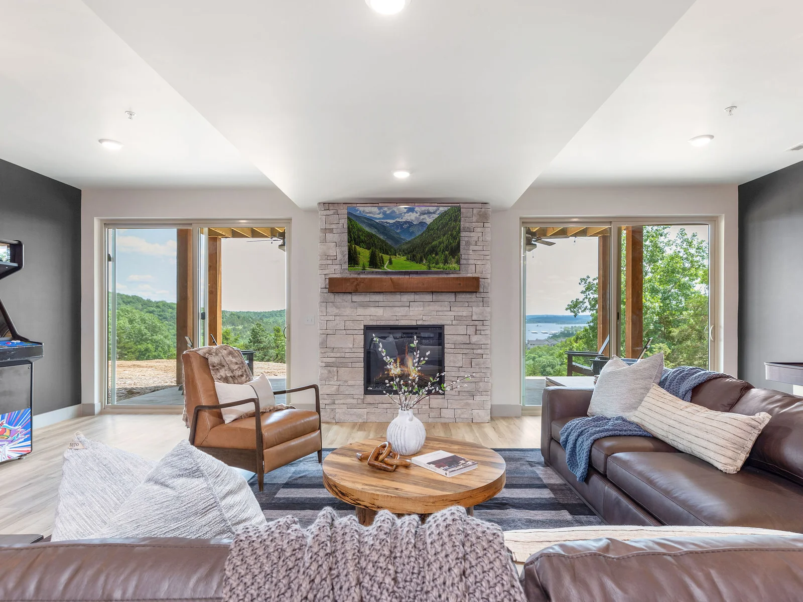 Lower level living room