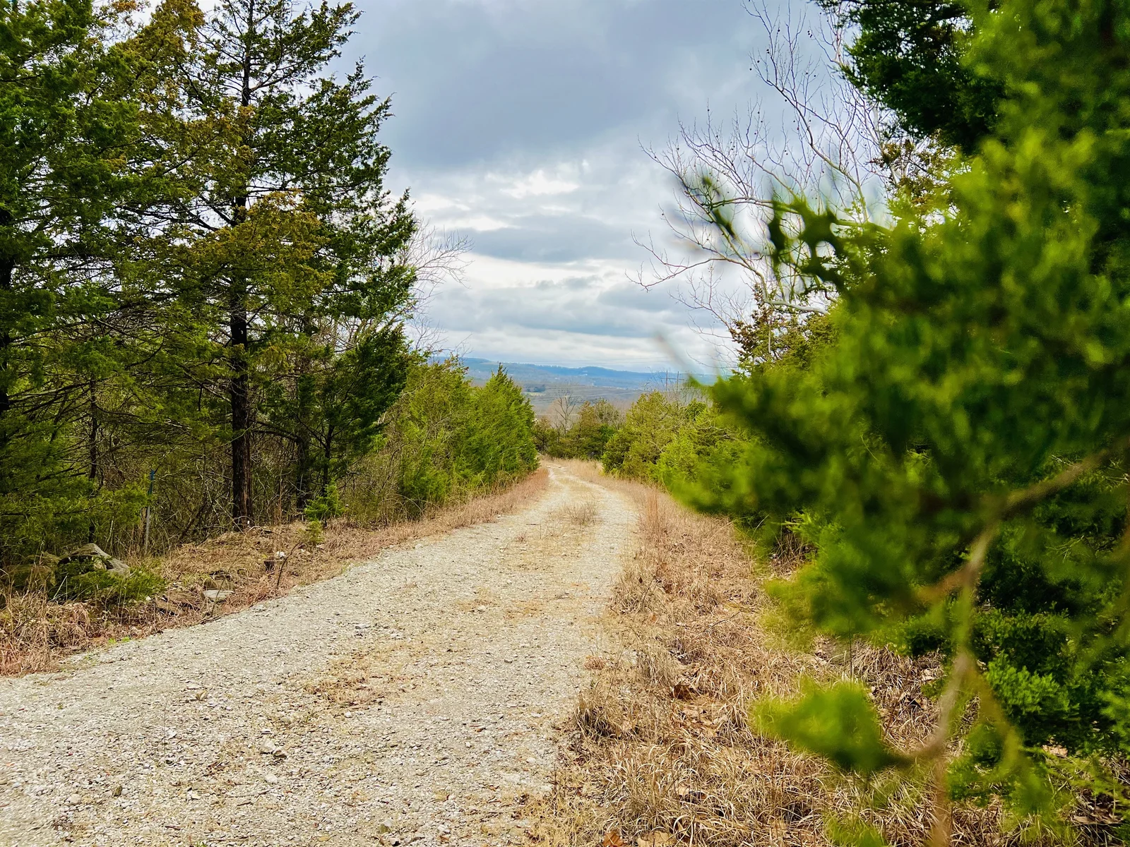 Beautiful mountains and hills in the distance on this trail!