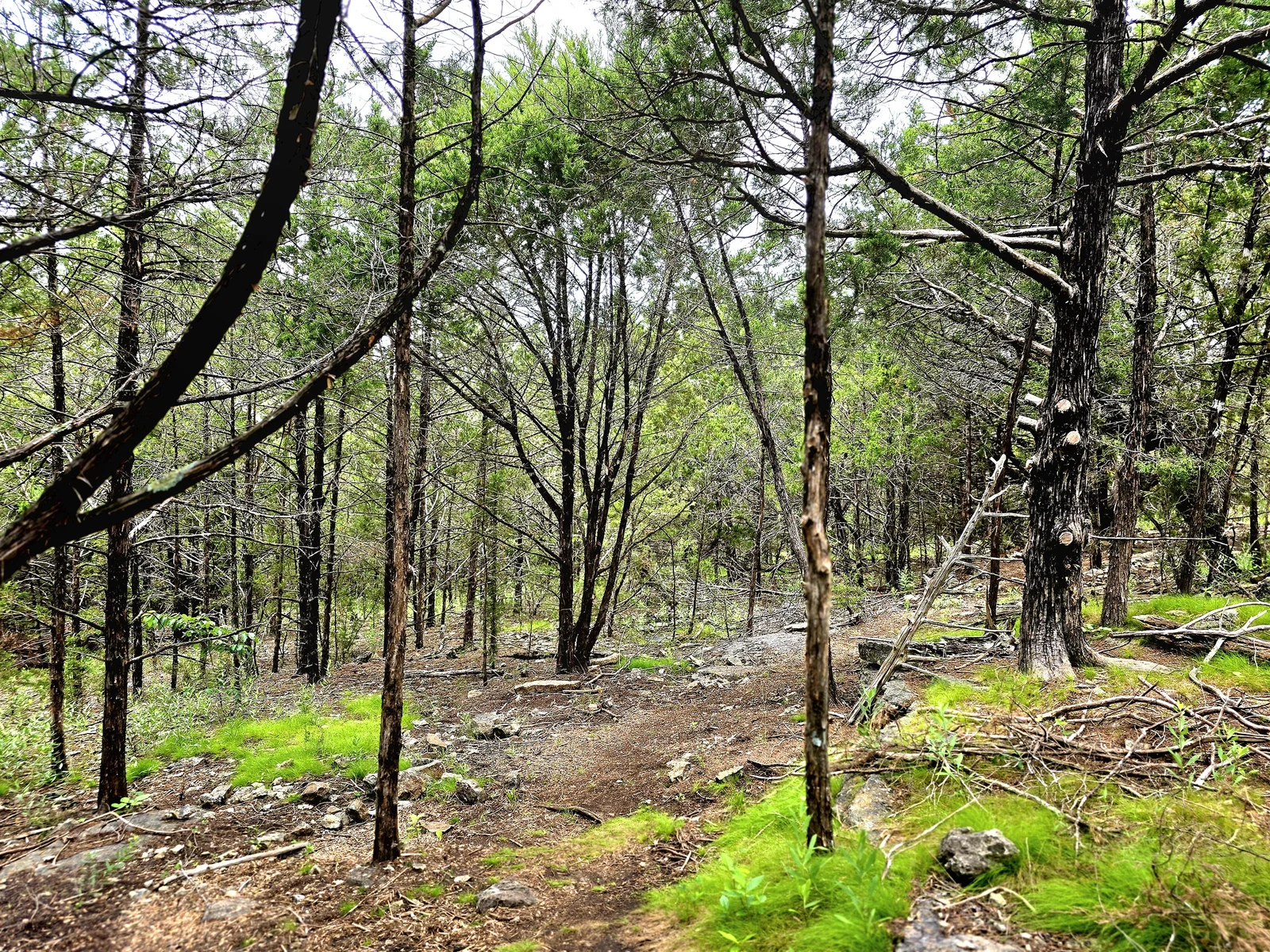 Walking trails