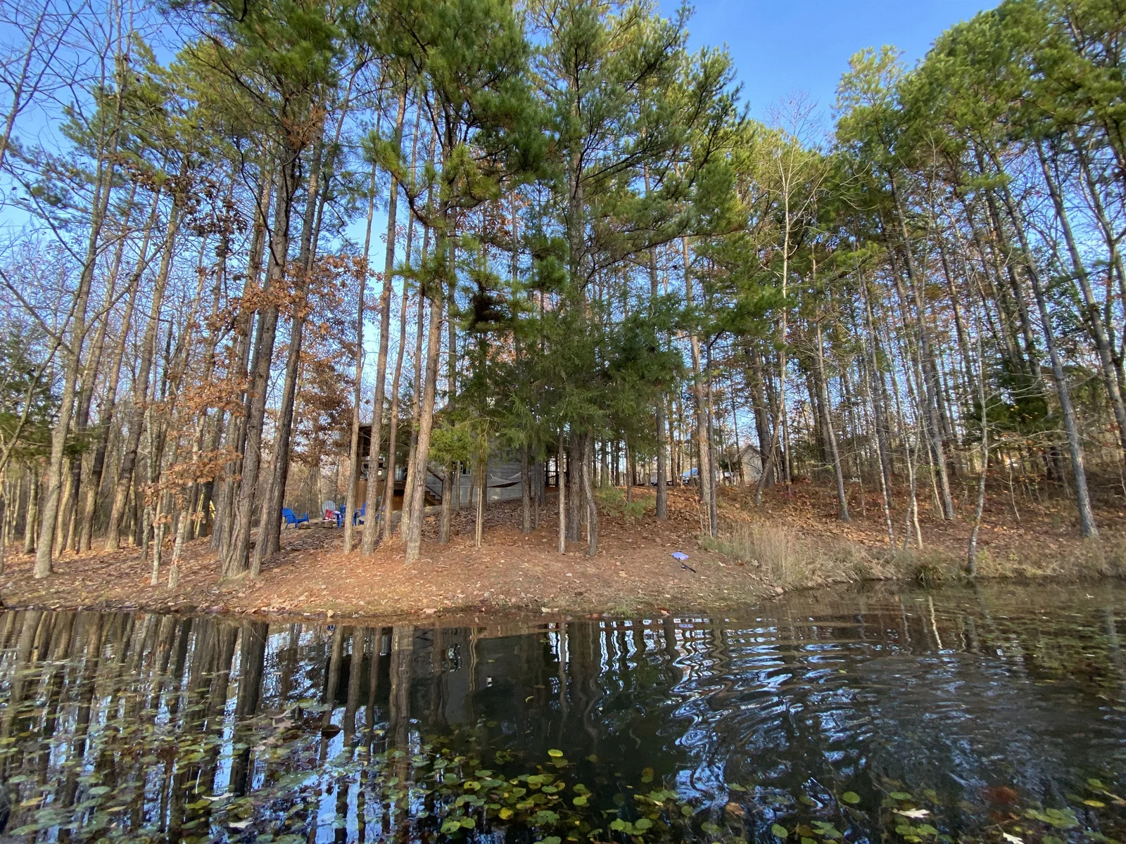 Cabin View from Paddle Boat on Pond