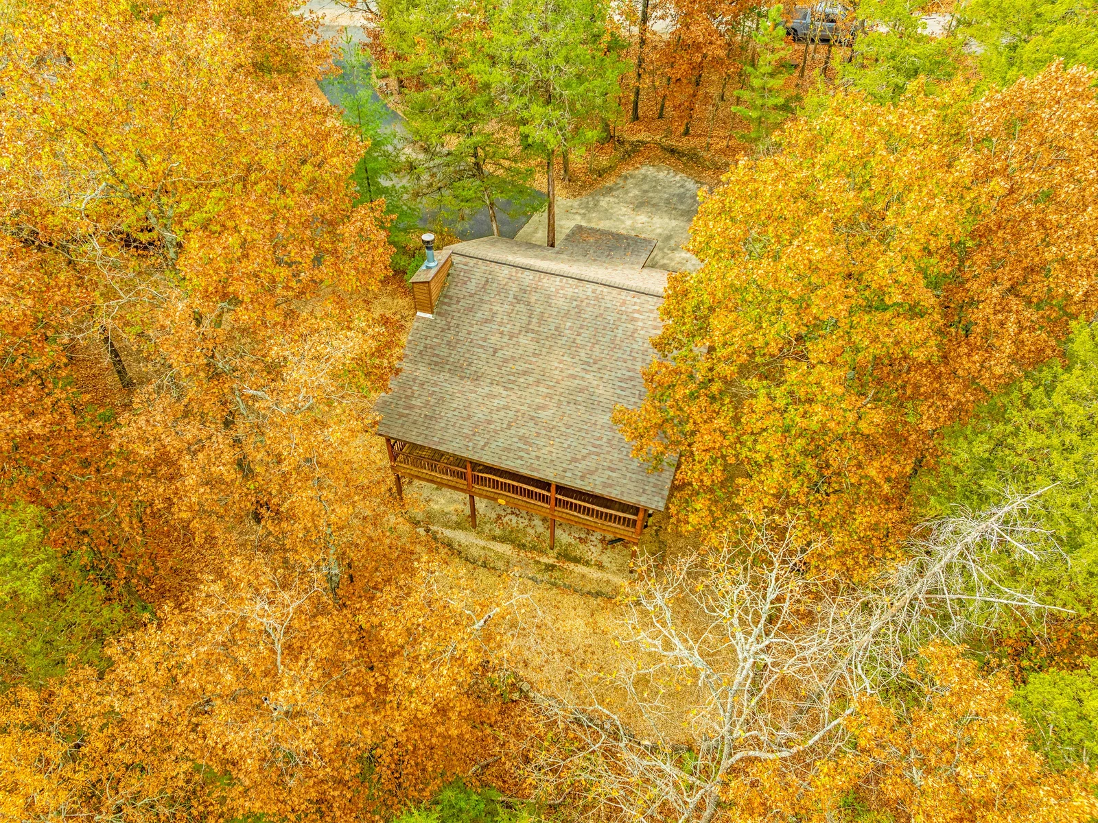Romantic hideaway nestled in vibrant autumn woods