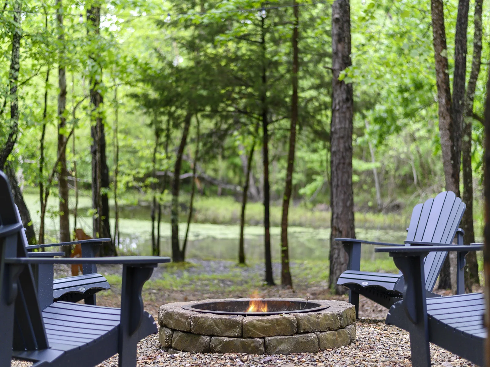 Cozy Firepit with a Serene Pond Backdrop