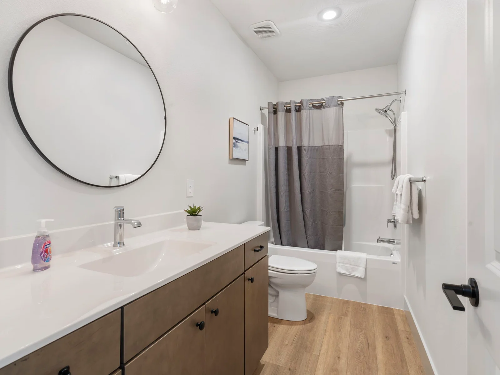 Lower level bathroom