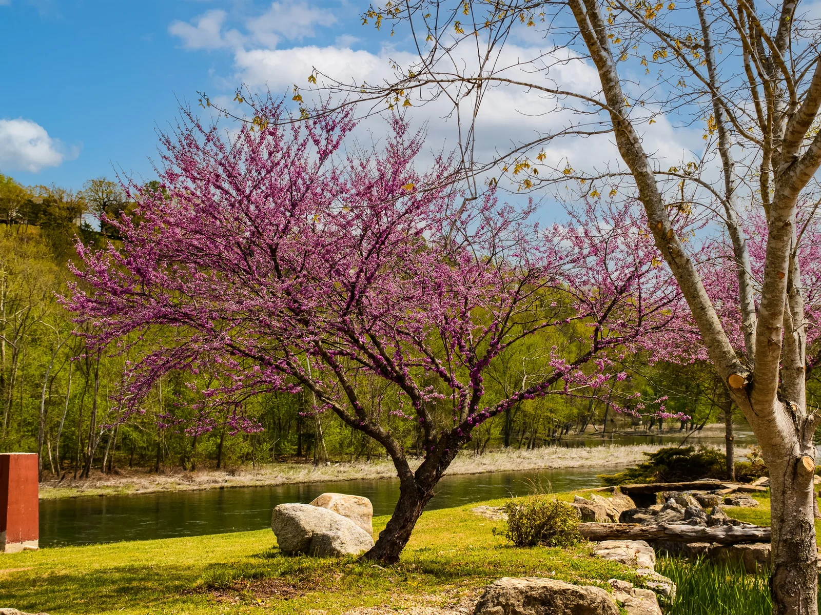 Beautiful grounds to explore
