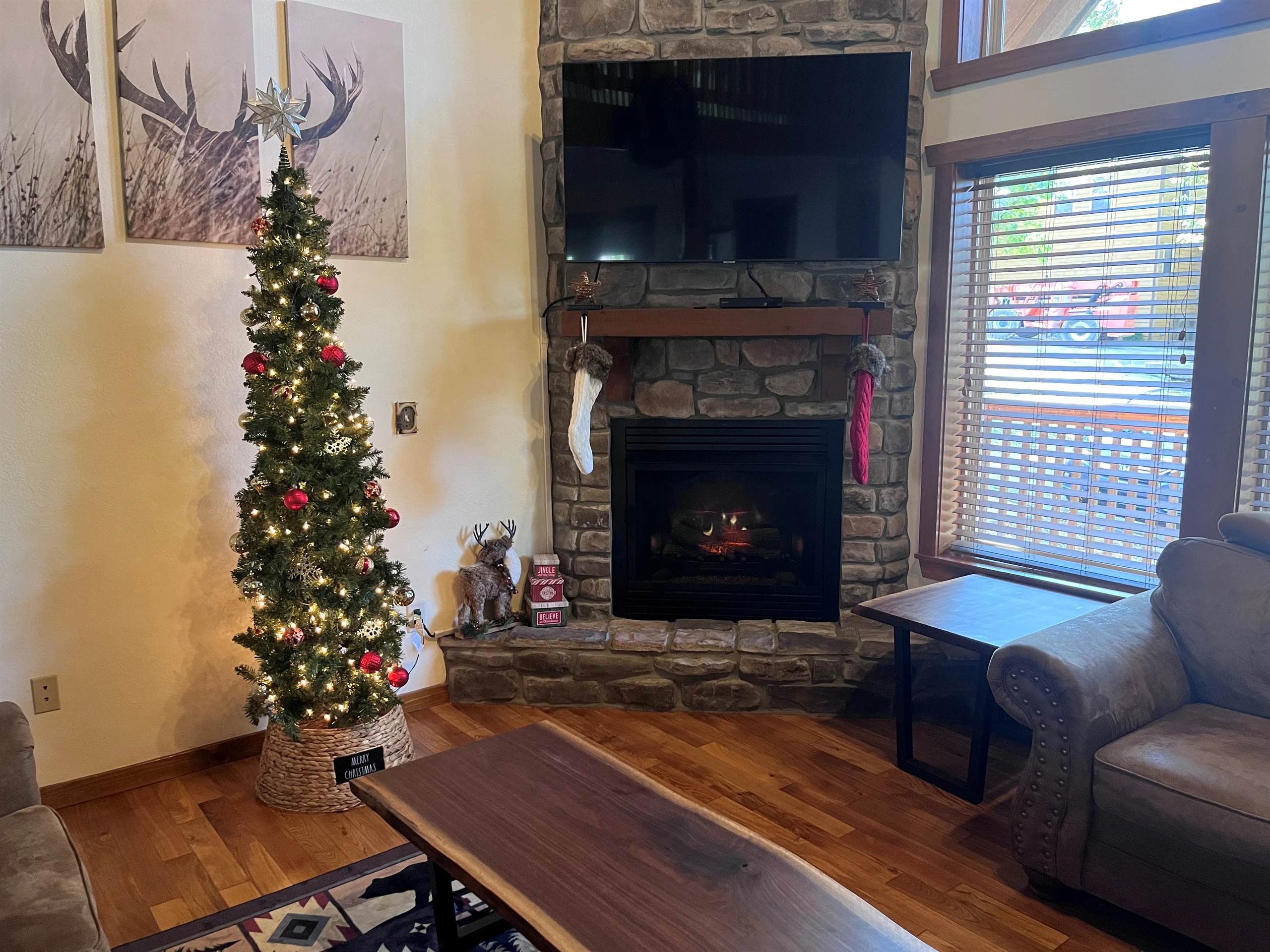 Christmas decor Nov-Jan