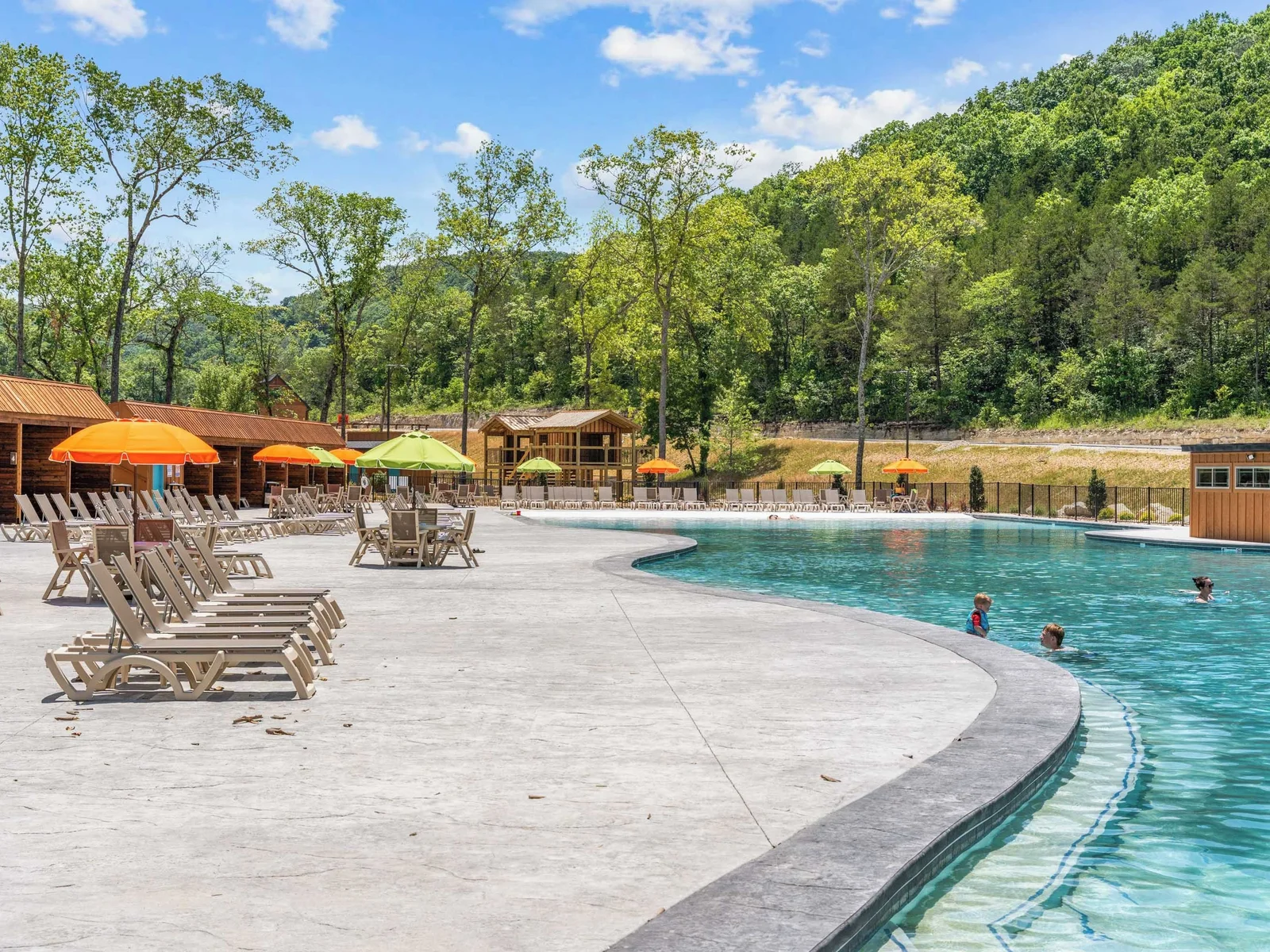 Views of nature all around Tall Timbers Camp.