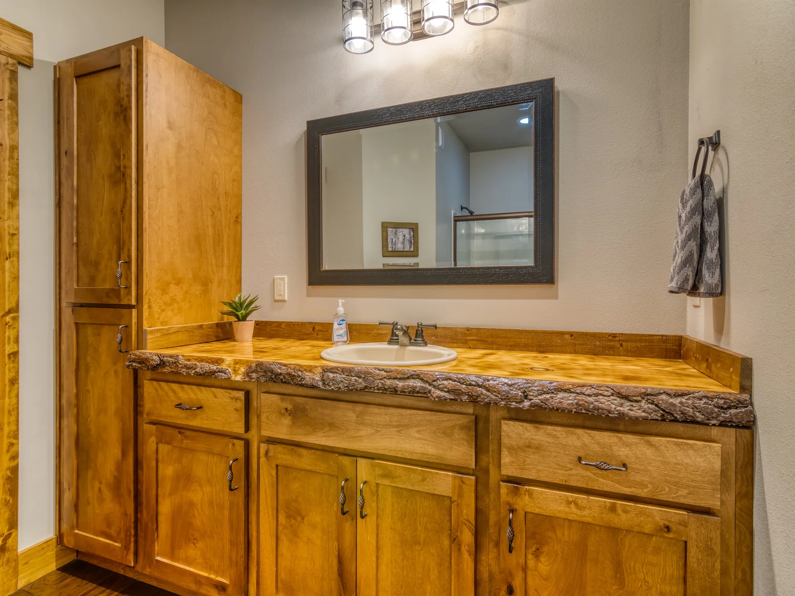 Lower level bathroom
