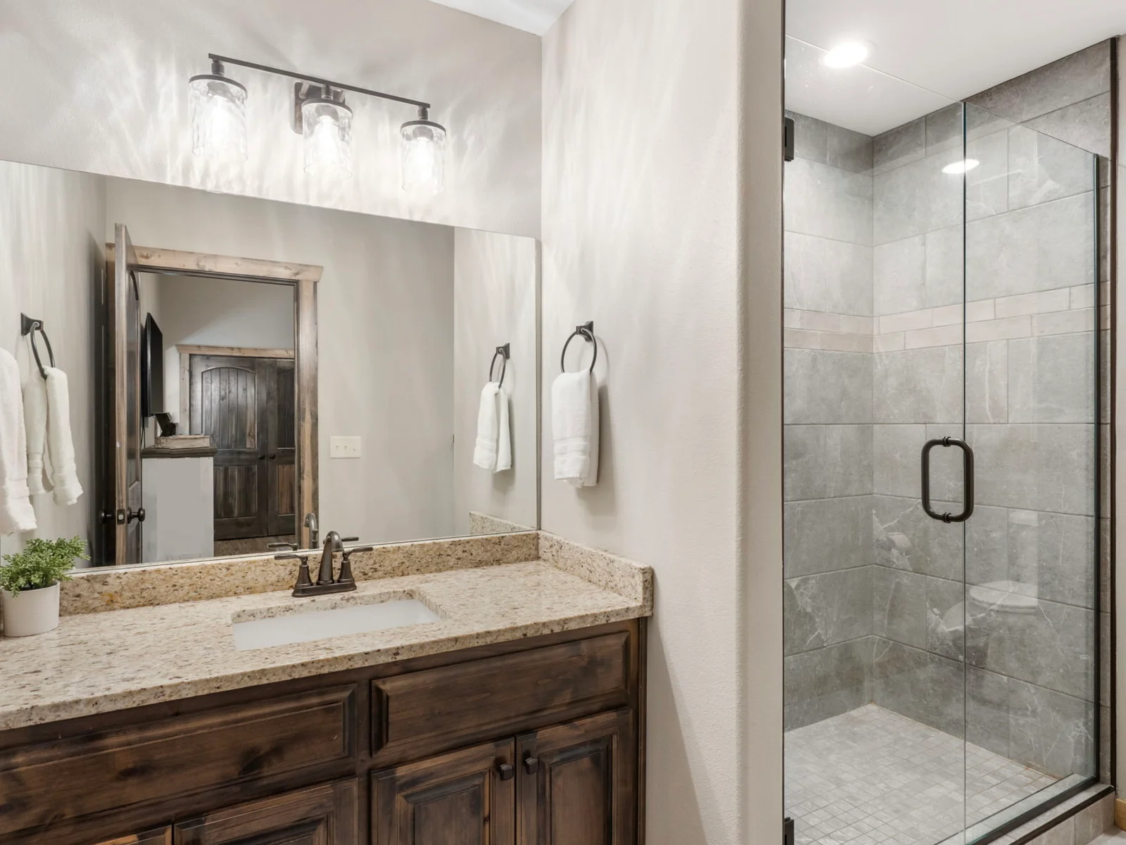 lower level bathroom