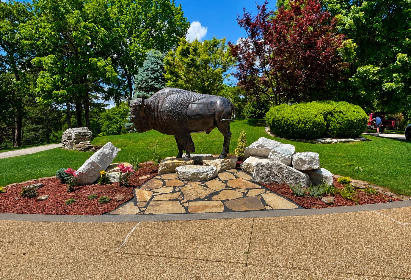 Take a family photo around our new Buffalo!