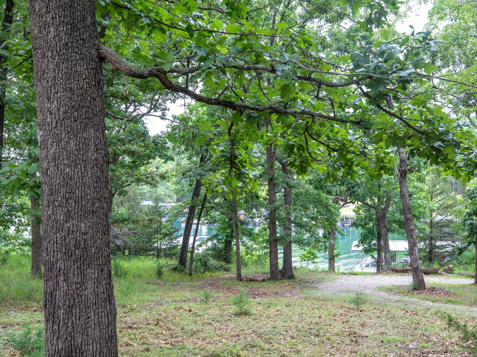 Path down to the lake