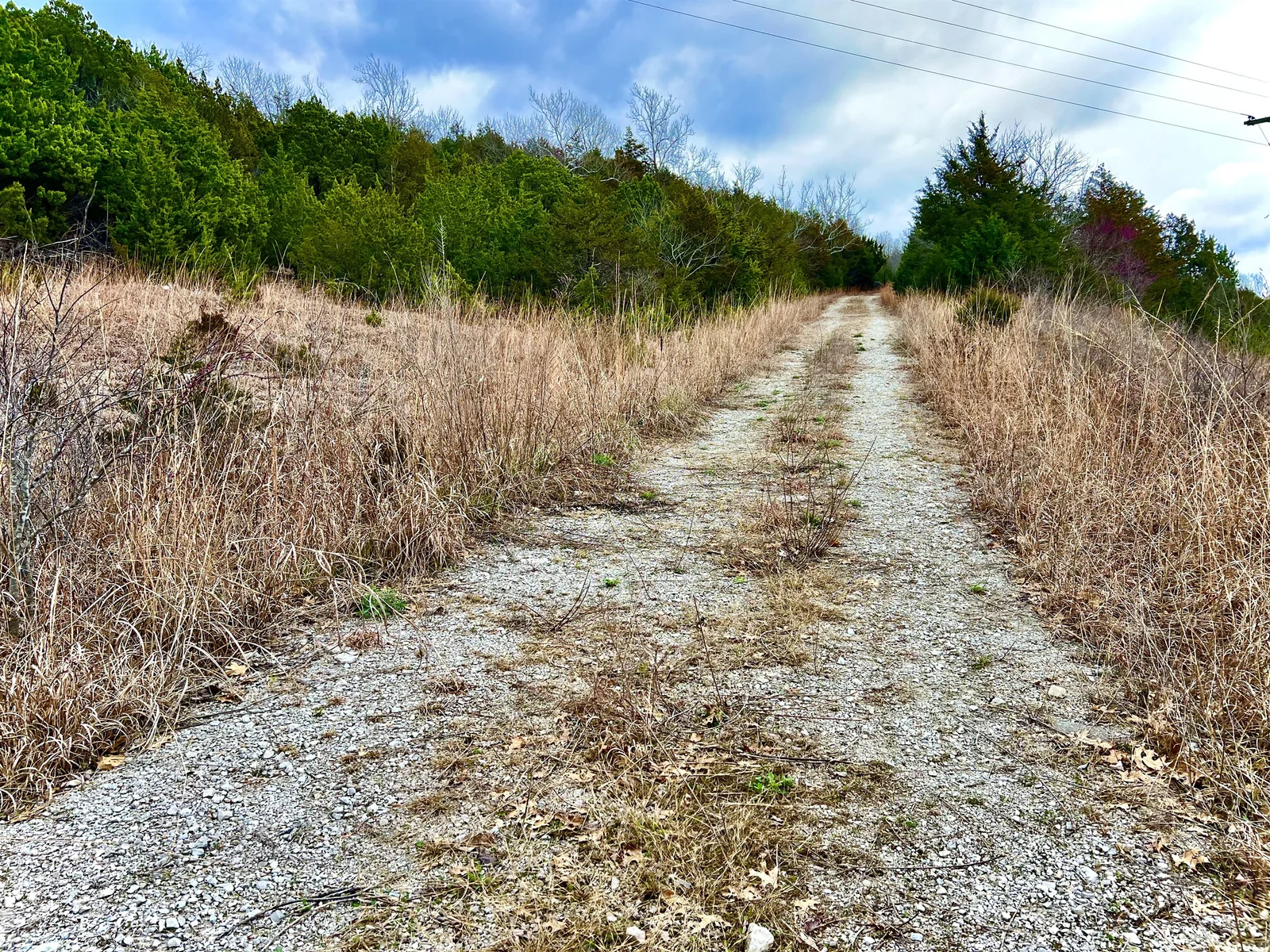 Wide trails for easy walking