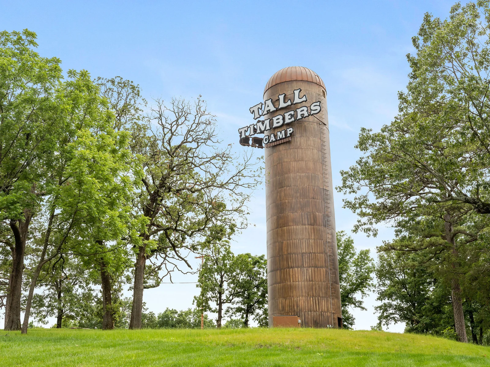 Welcome to Tall timbers!