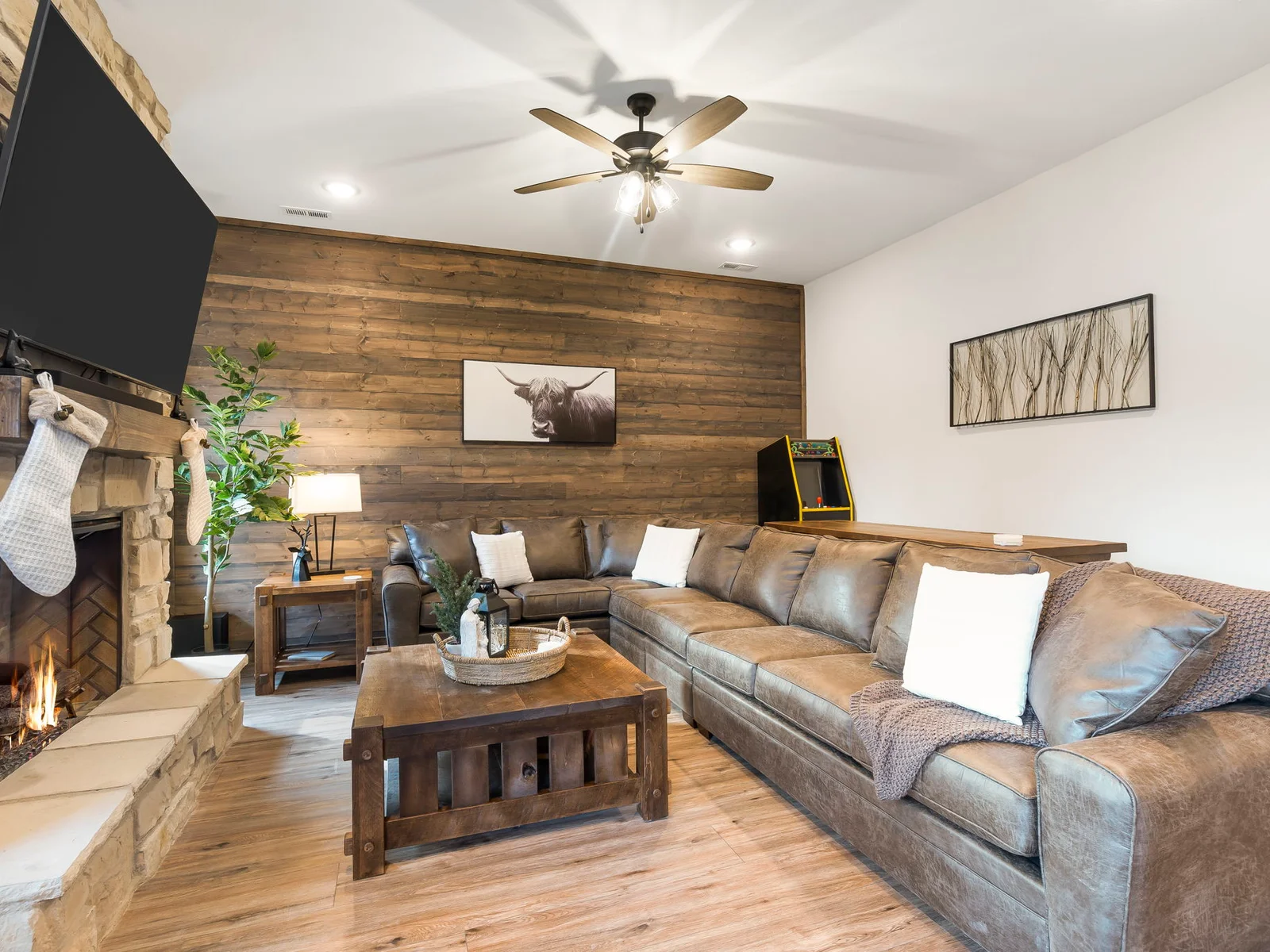 Lower level living room