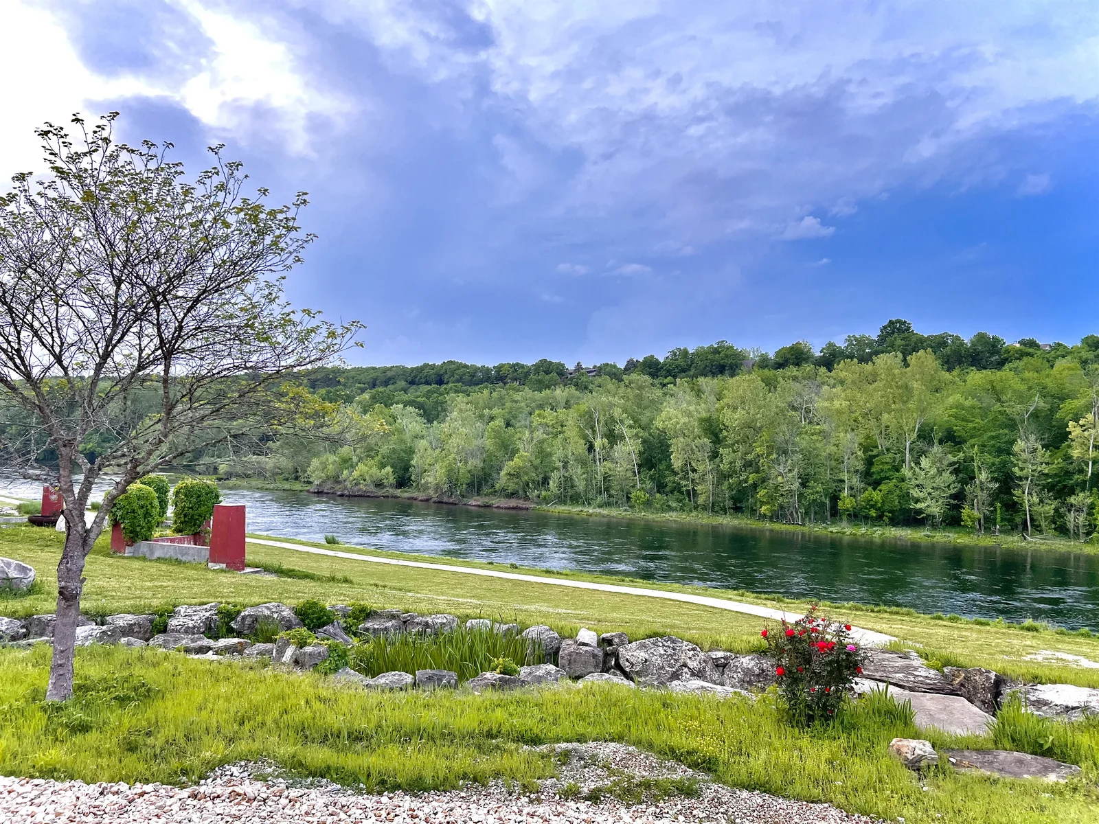 Your view from the back porch!