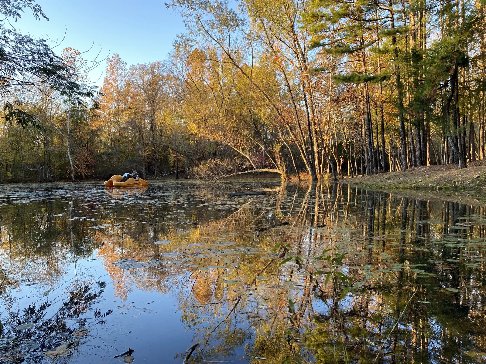 A Peaceful Paddle Awaits You on the Pond