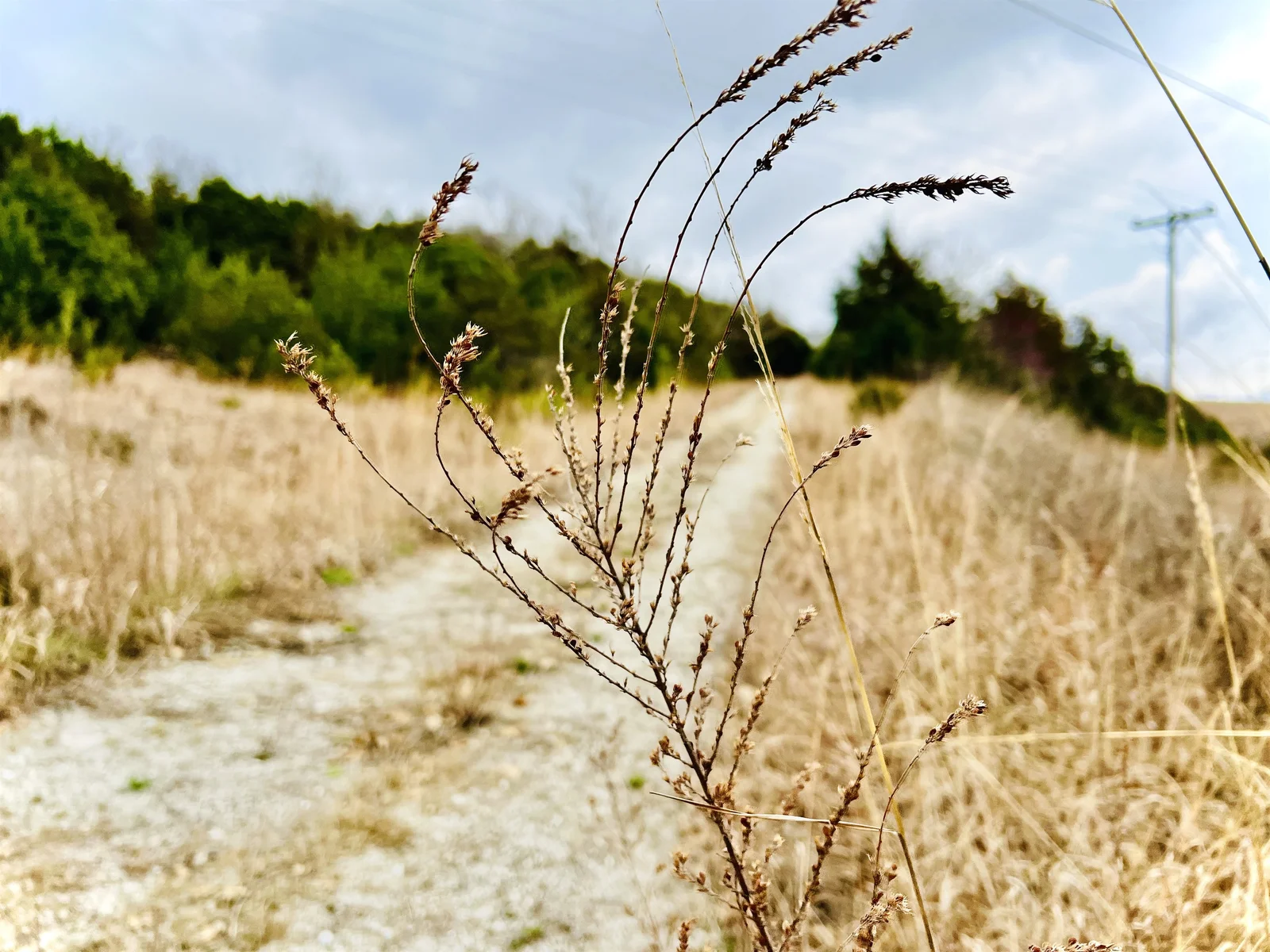 Find year round beauty on the well kept hiking trails.