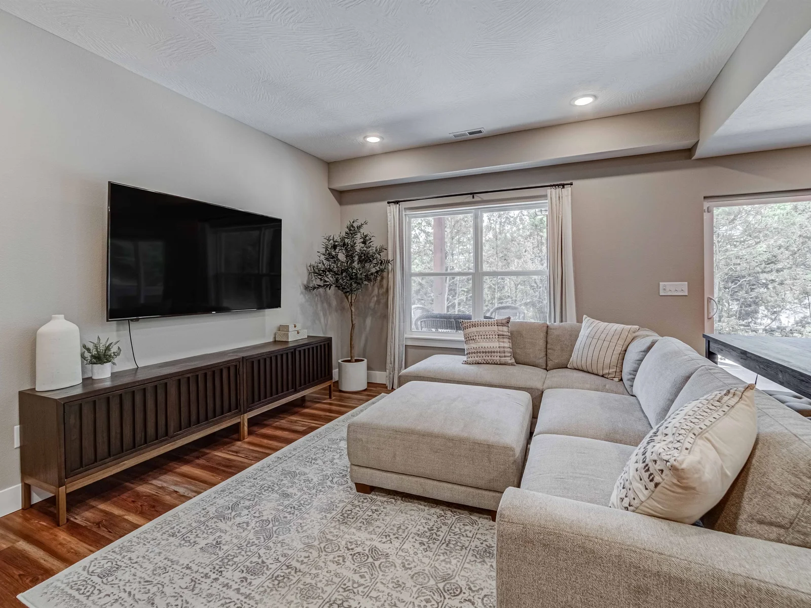 Lower level living area