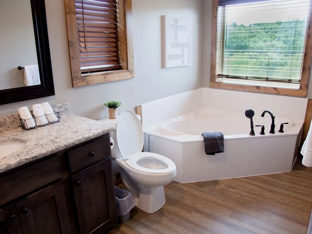We provide shampoo, conditioner, body wash,and toilet paper.