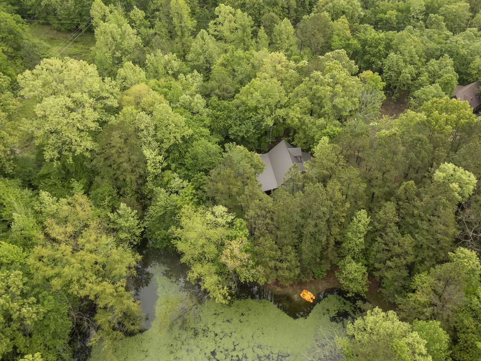 Bird's Eye View of Cabin