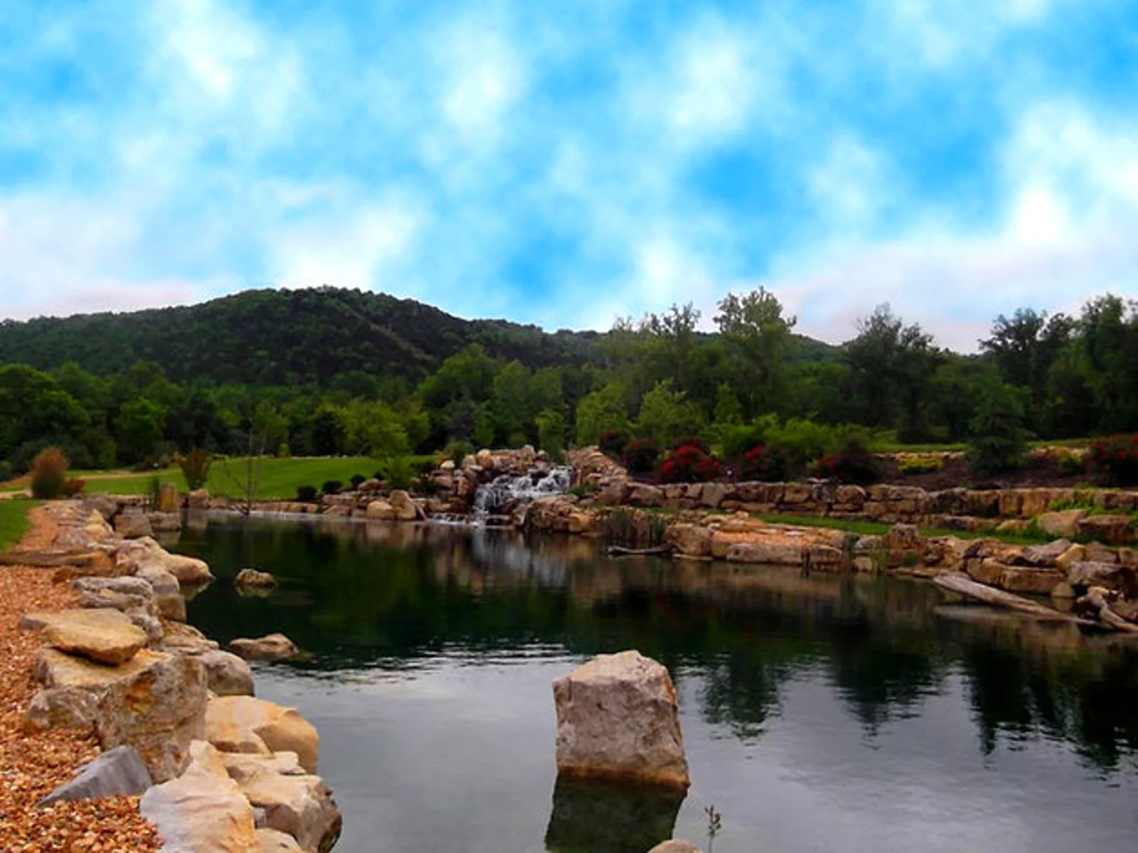 Catch and Release pond for kids