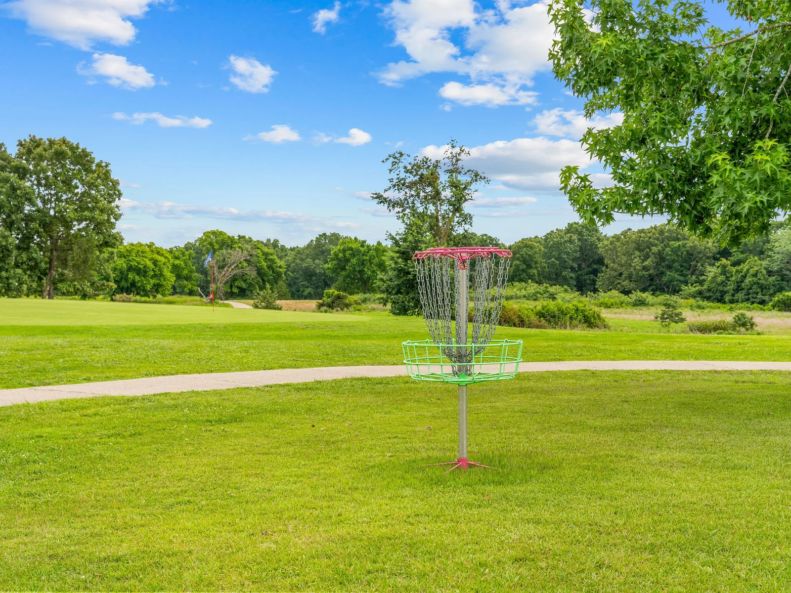 A disc golf basket on the community grounds — good for a casual round between lake swims and fire pit evenings.