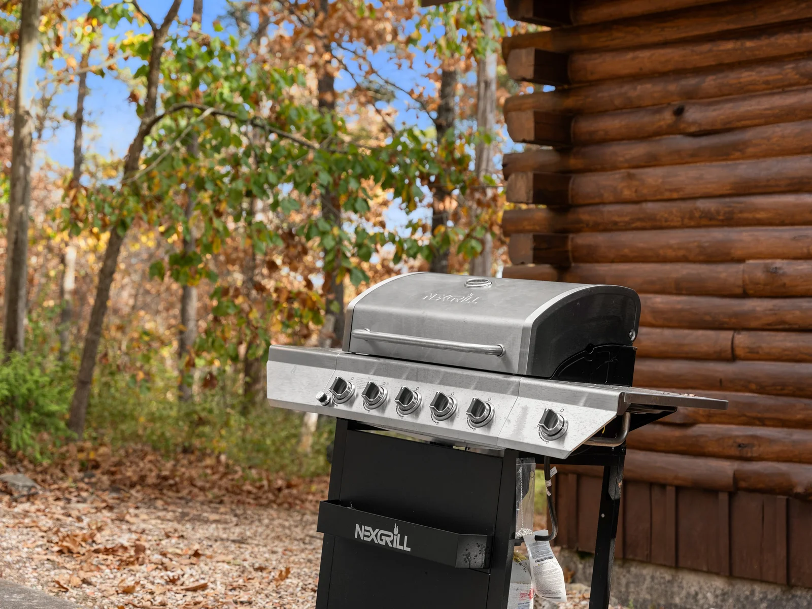 Romantic dinner awaits—grill up something special together