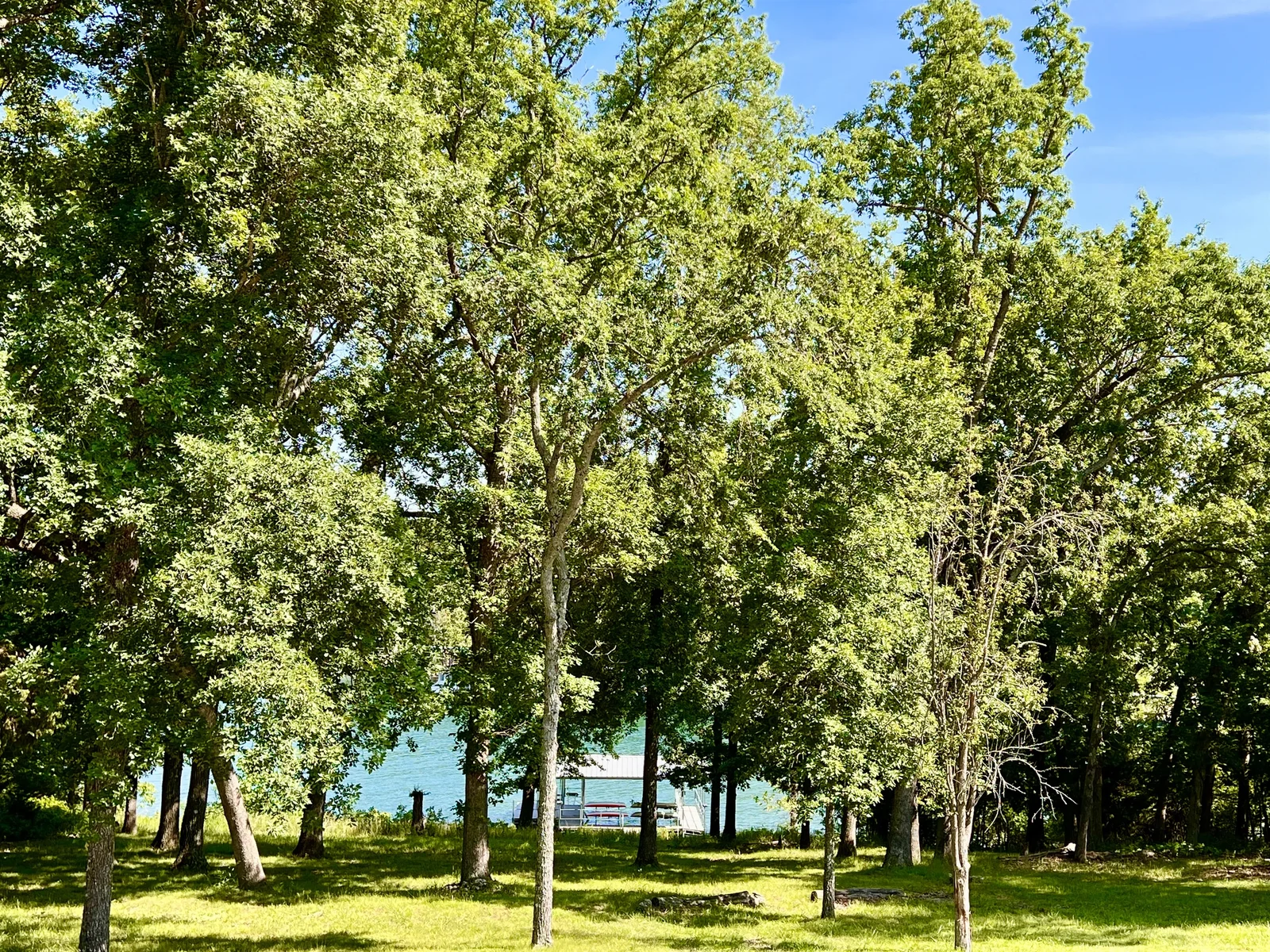 Large green space for family games