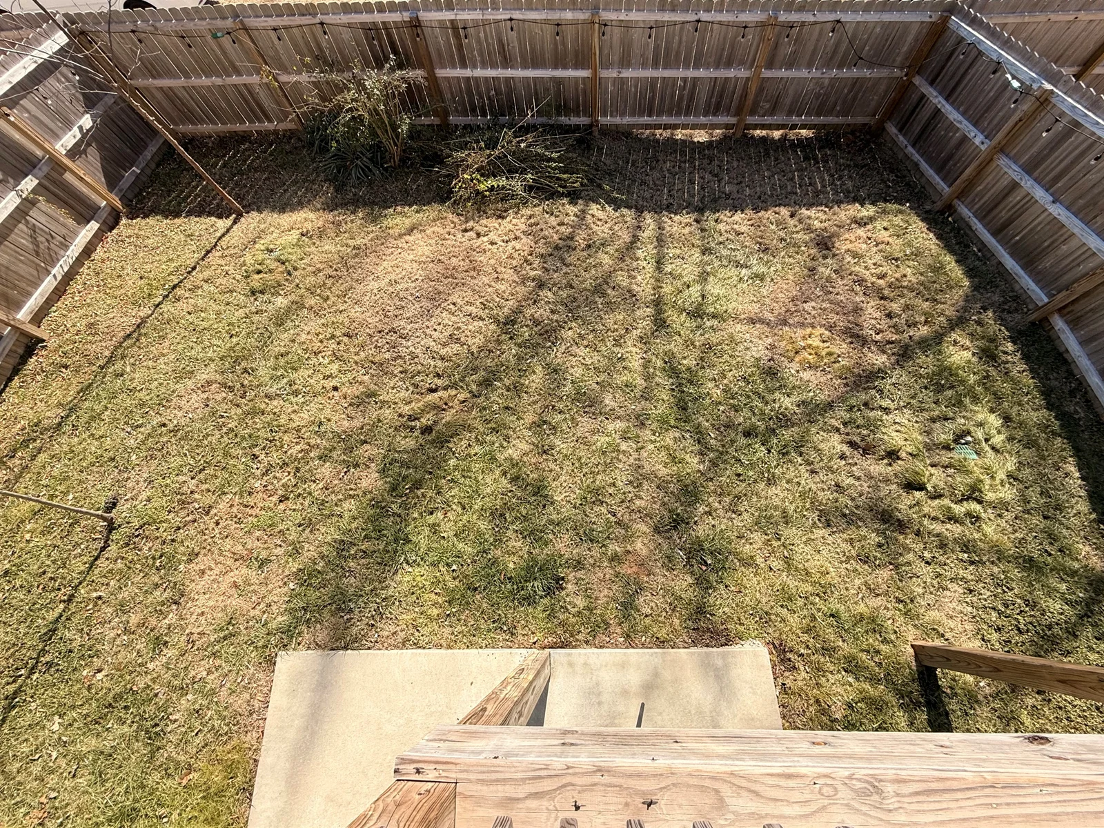 Fenced backyard with gate